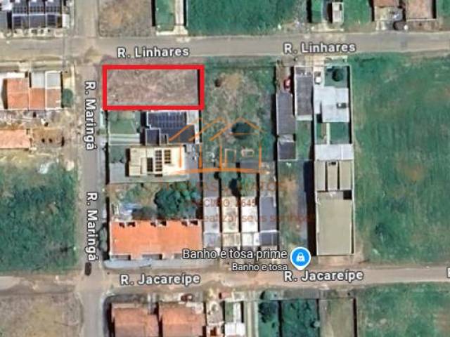 #636 - Área para Venda em Ariquemes - RO - 1